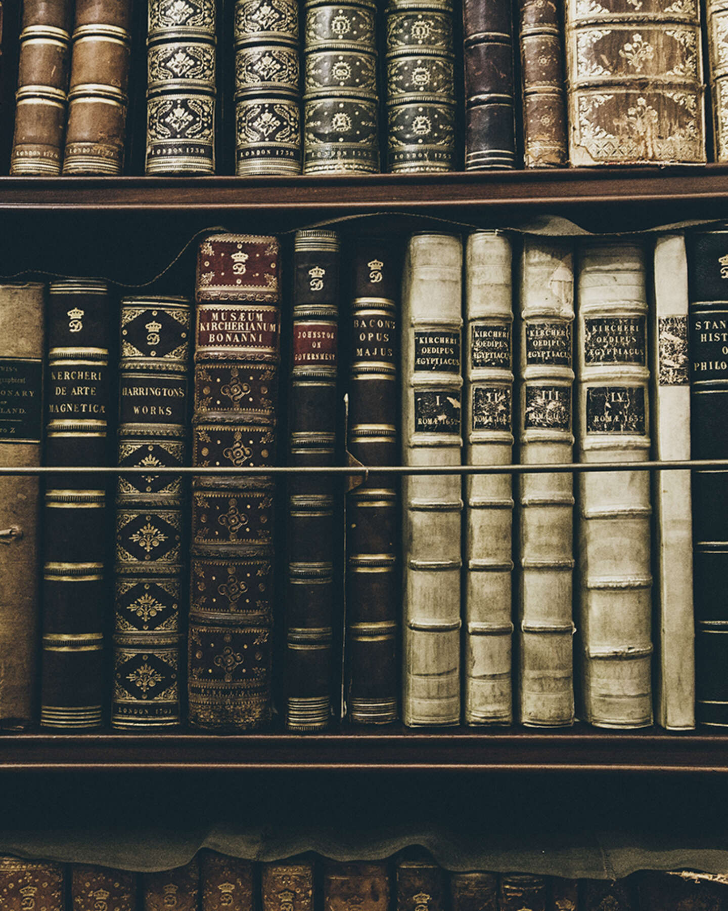 Descripción de la imagen